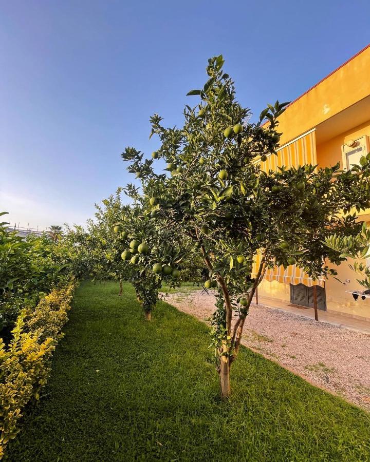Casa Vacanze Paradise Santa Maria La Carita Exterior photo