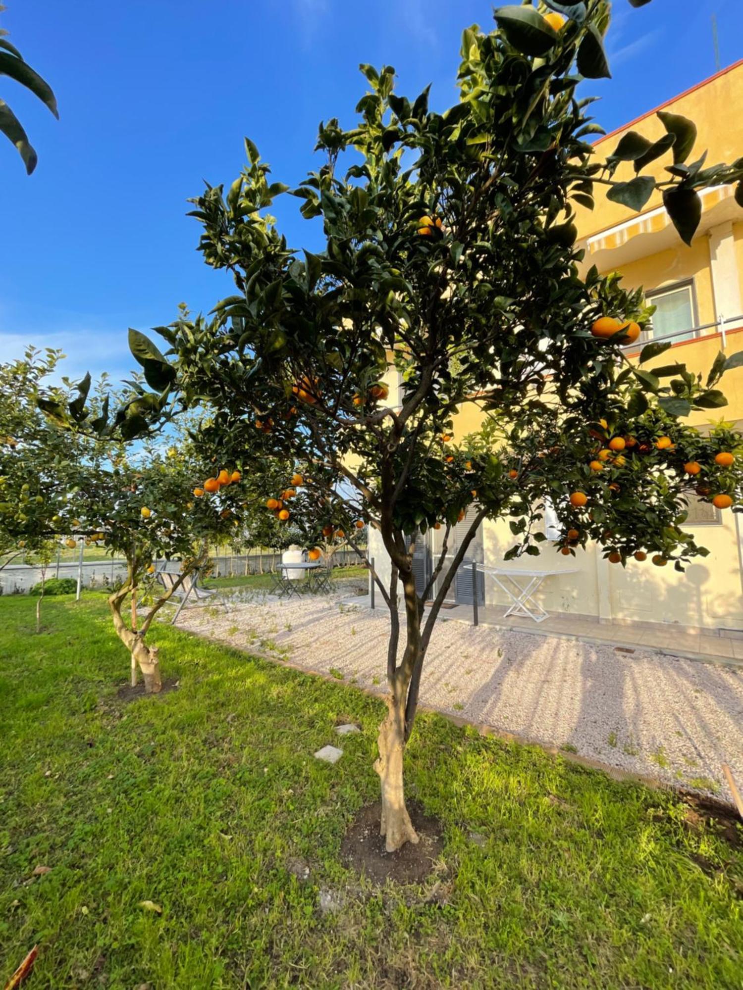 Casa Vacanze Paradise Santa Maria La Carita Exterior photo